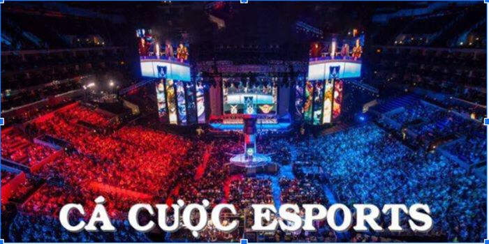 Cá cược Esport là danh mục được nhiều người chơi yêu thích tại các sân chơi trực tuyến Cá cược Esport là danh mục được nhiều người chơi yêu thích tại các sân chơi trực tuyến
