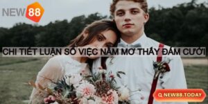 Nằm mơ thấy đám cưới nên đánh con gì dễ nổ?